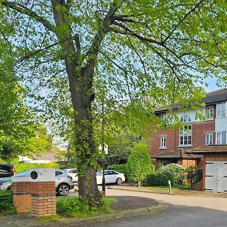Lovely Flat Close To Shepherd'S Bush Apartment Лондон Екстериор снимка